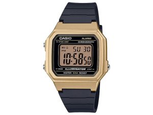 Rokas pulkstenis Casio W-217HM-9AV